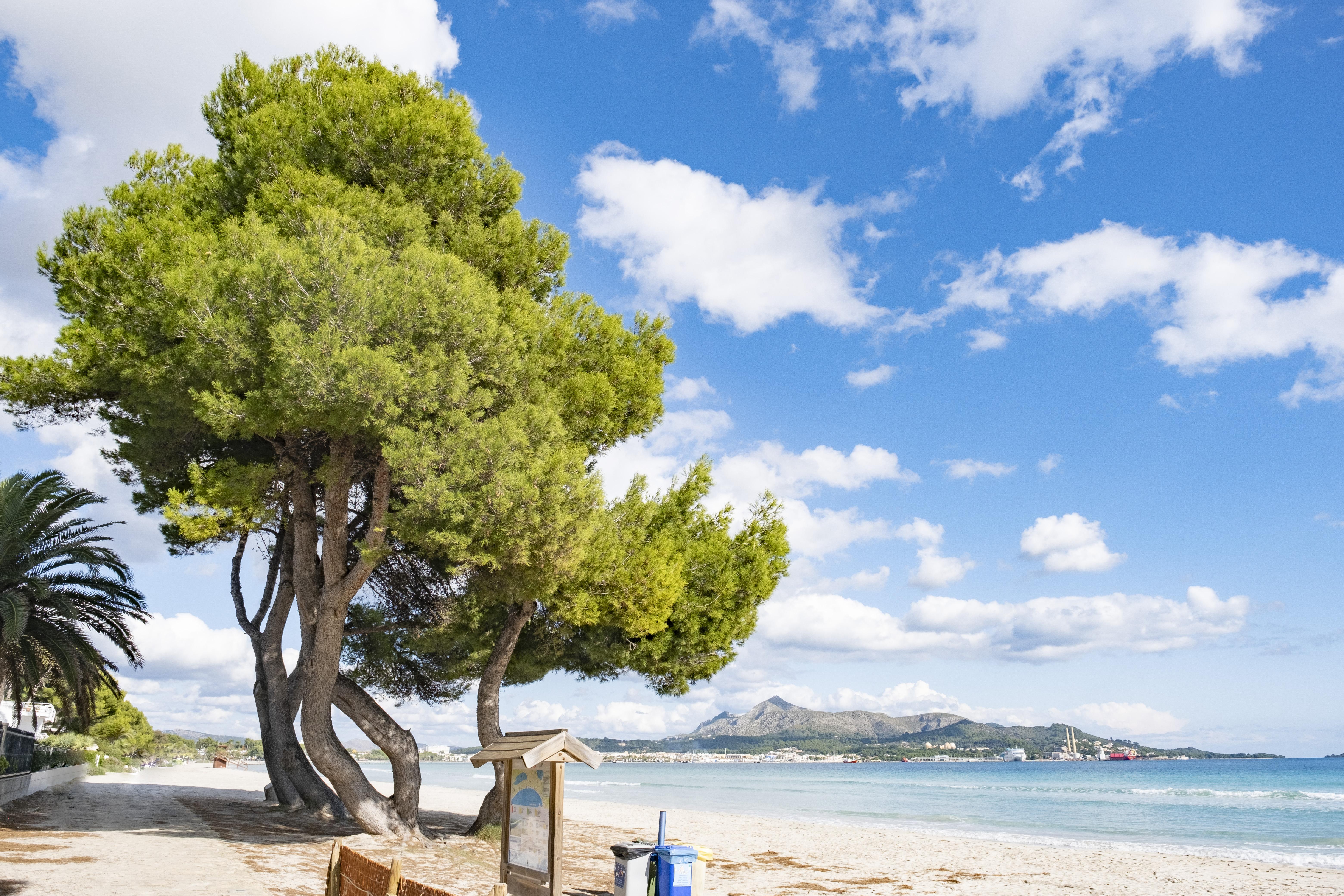 Eix Platja Daurada Hotel & Spa Can Picafort (Mallorca) Exterior foto